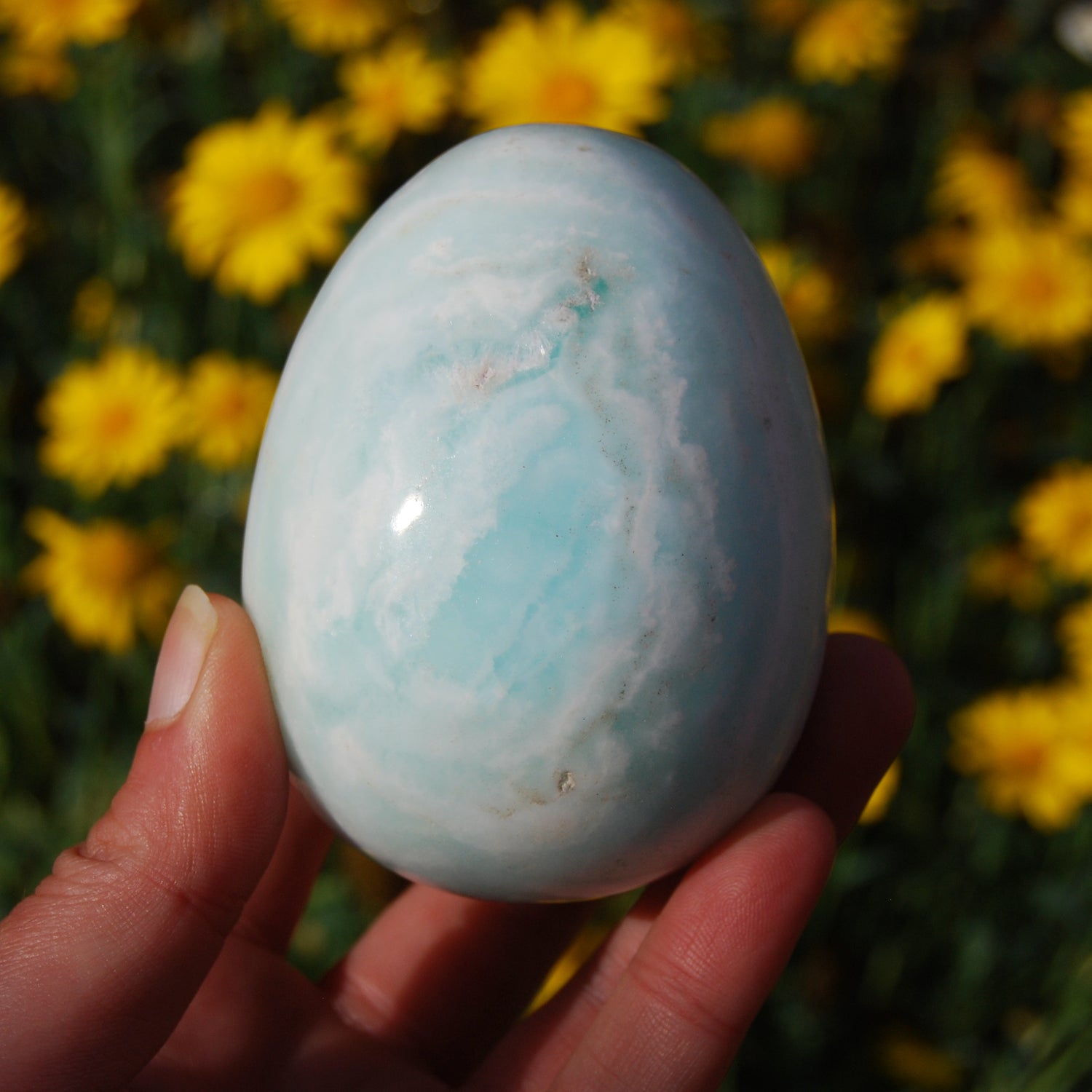 Caribbean Blue Calcite and Aragonite Crystal Egg