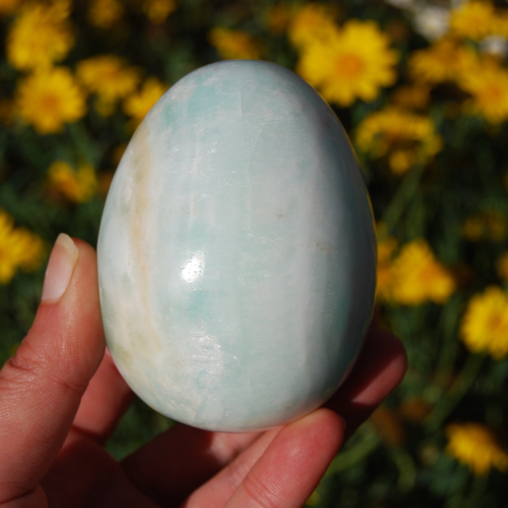 Caribbean Blue Calcite and Aragonite Crystal Egg