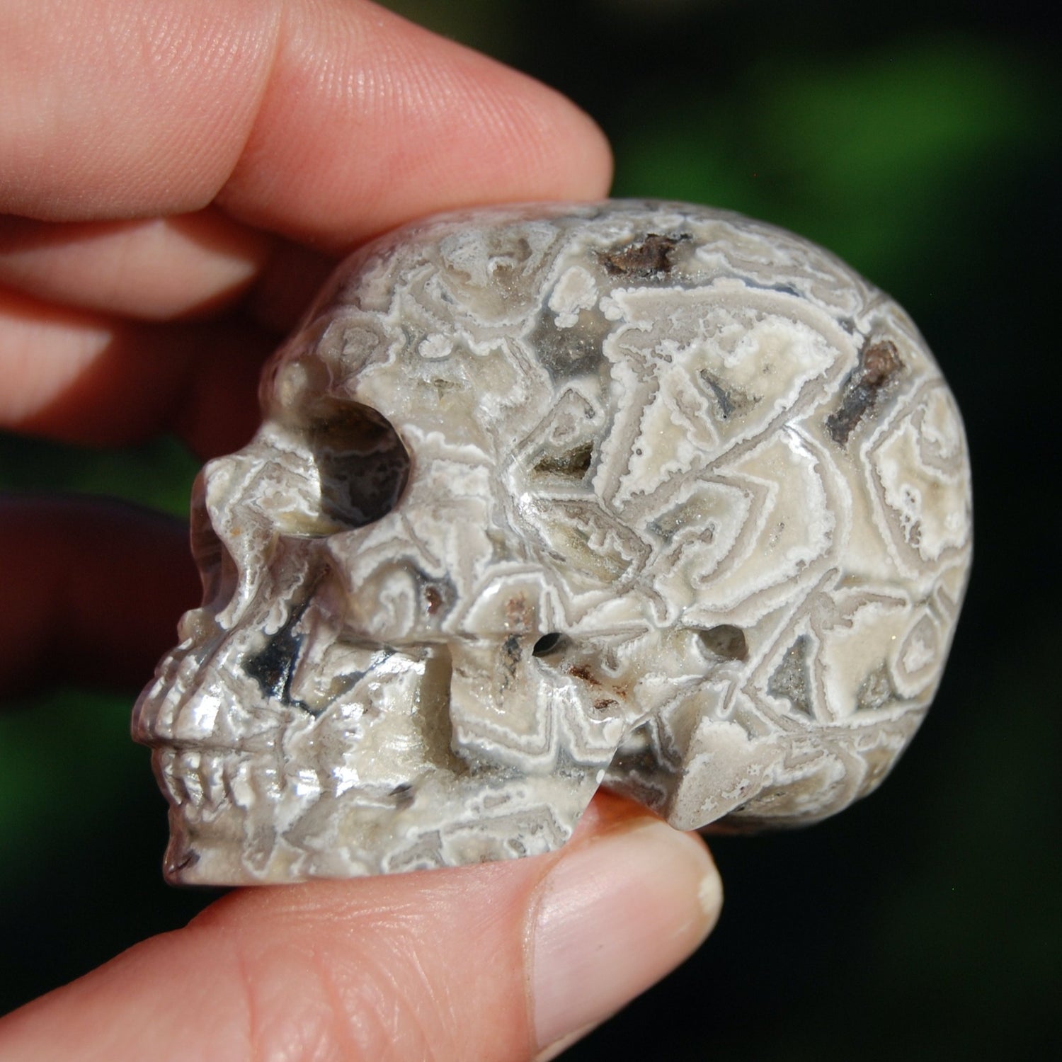 Laguna Lace Agate Carved Crystal Skull