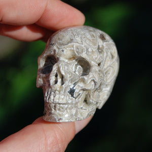 Laguna Lace Agate Carved Crystal Skull