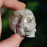 Laguna Lace Agate Carved Crystal Skull