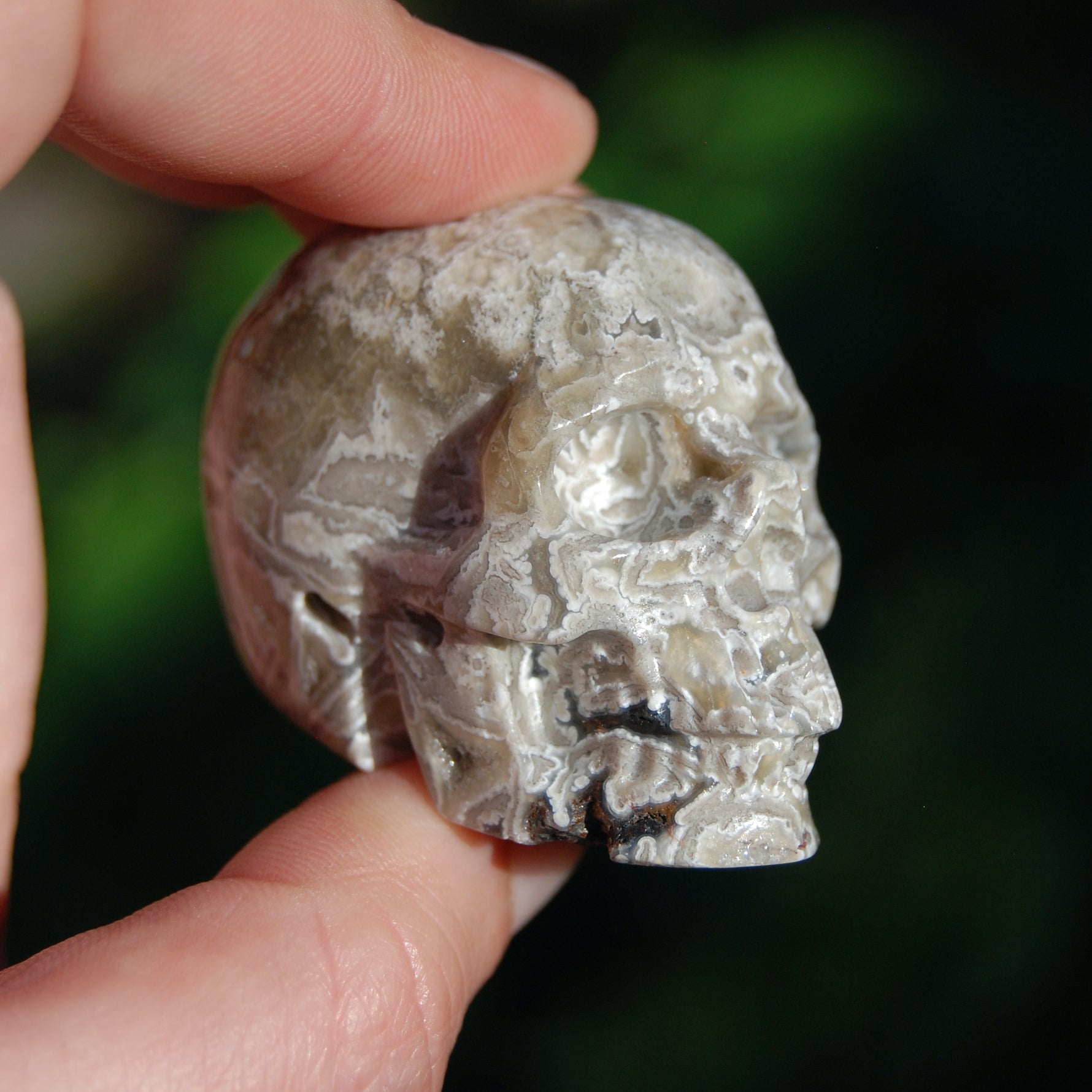 Laguna Lace Agate Carved Crystal Skull
