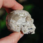 Laguna Lace Agate Carved Crystal Skull