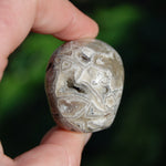 Laguna Lace Agate Carved Crystal Skull
