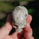 Laguna Lace Agate Carved Crystal Skull