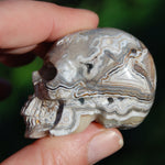 Laguna Lace Agate Carved Crystal Skull 