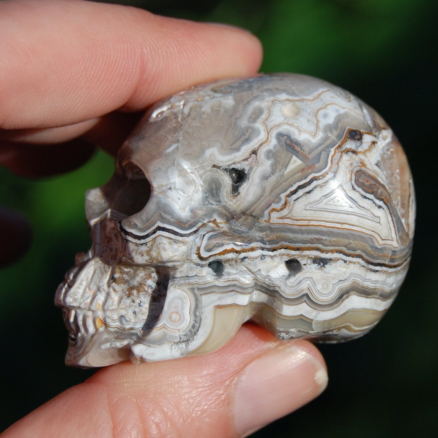 Laguna Lace Agate Carved Crystal Skull 