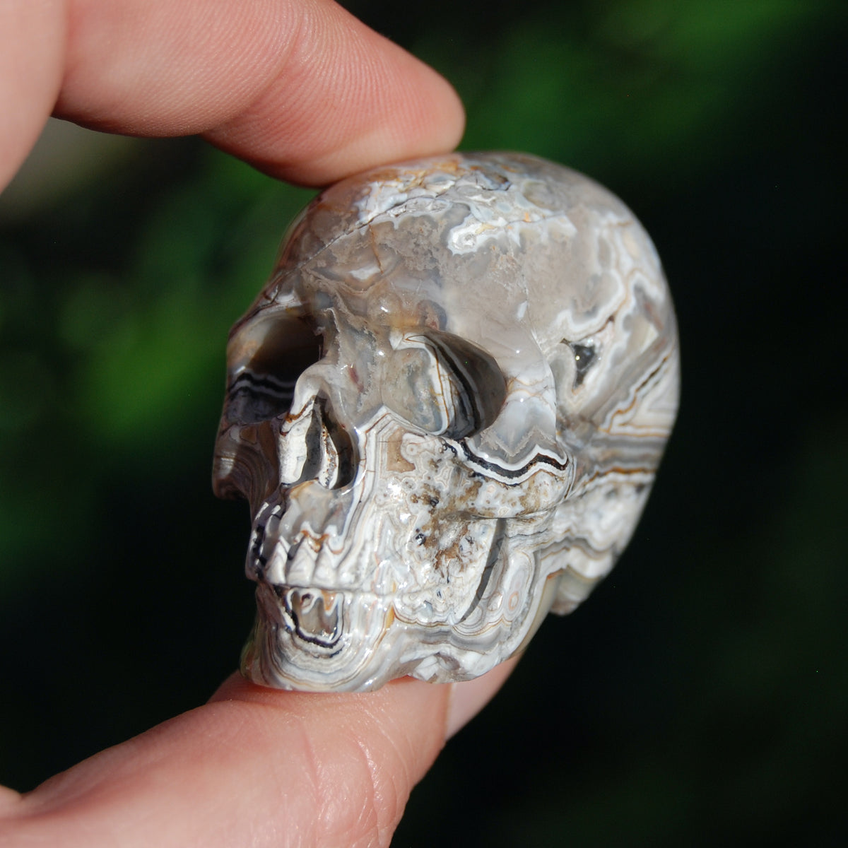 Laguna Lace Agate Carved Crystal Skull 