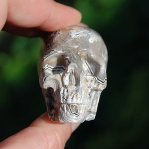 Laguna Lace Agate Carved Crystal Skull 