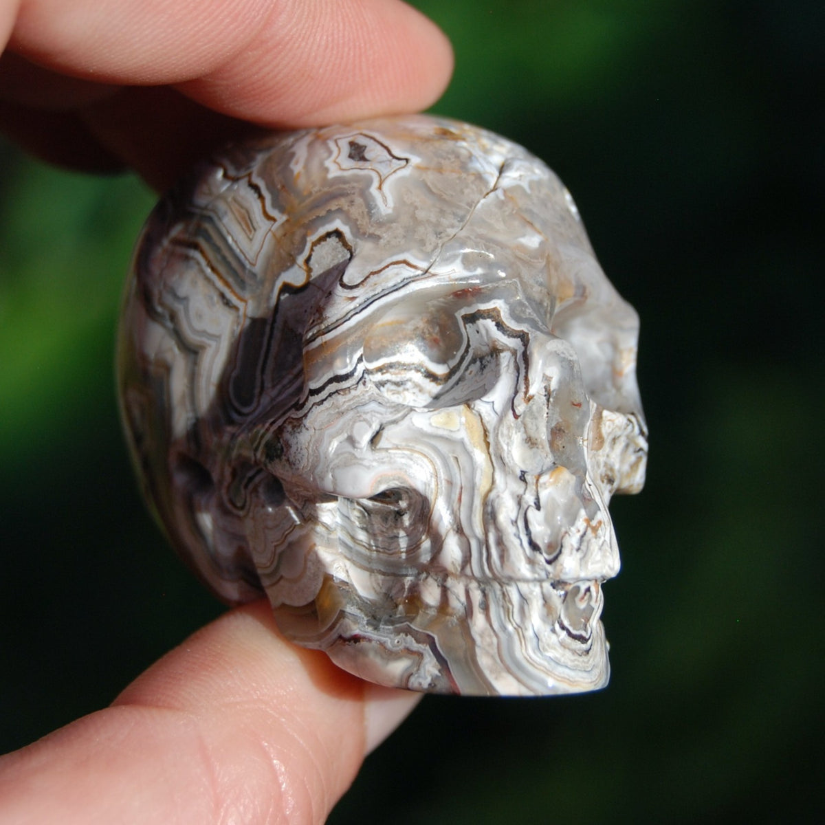 Laguna Lace Agate Carved Crystal Skull 