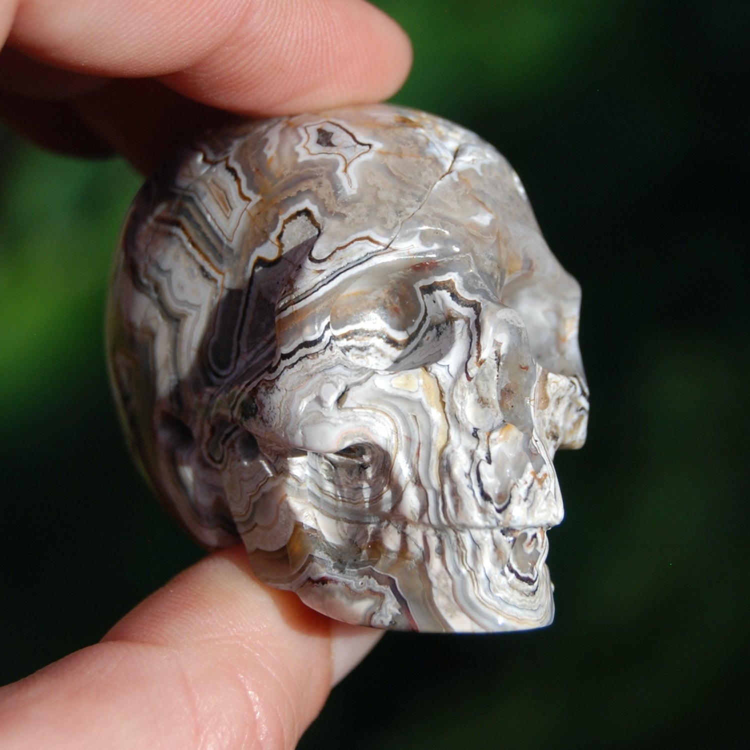 Laguna Lace Agate Carved Crystal Skull 
