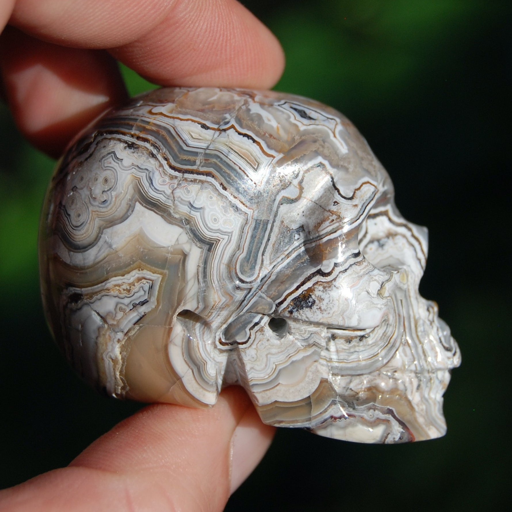Laguna Lace Agate Carved Crystal Skull 