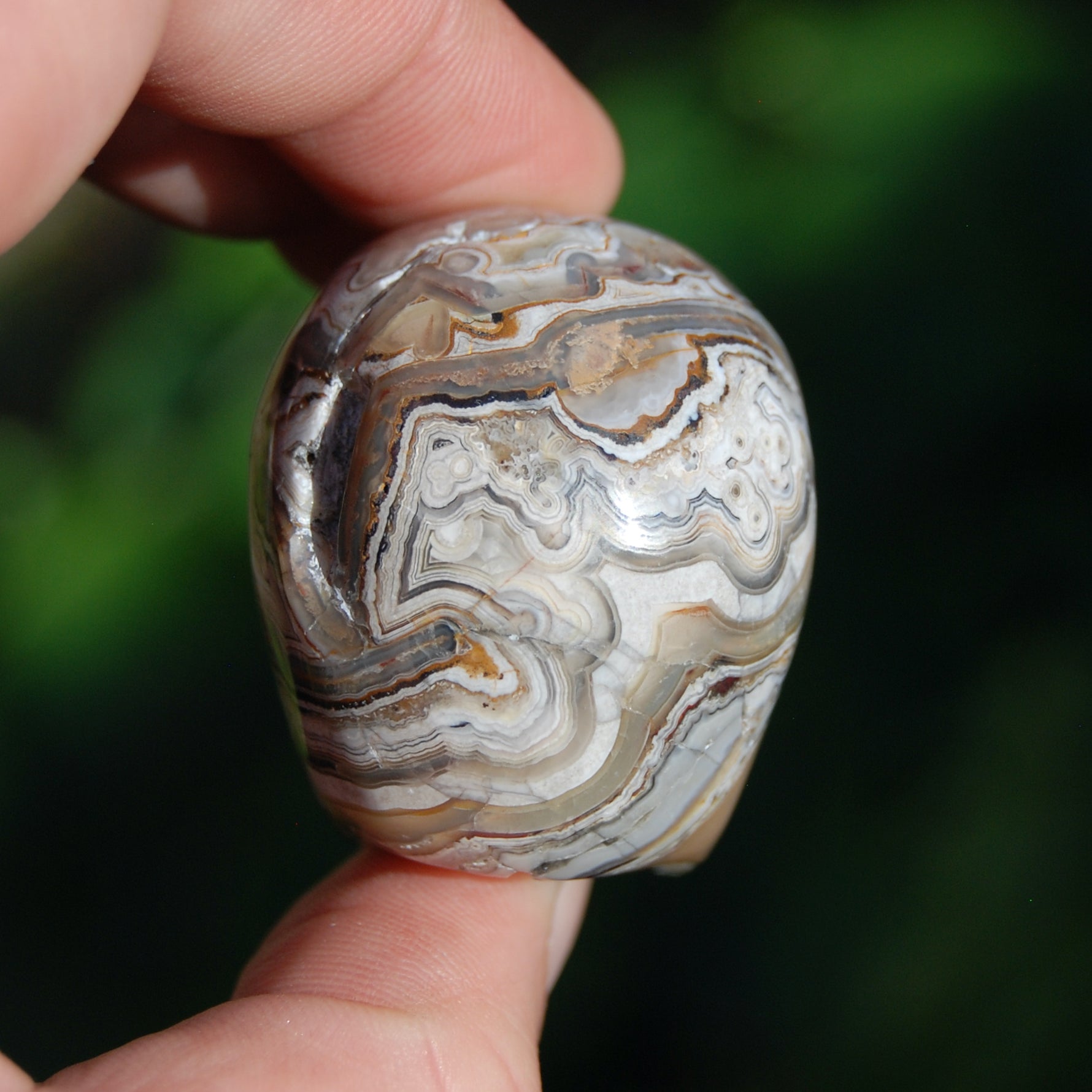 Laguna Lace Agate Carved Crystal Skull 