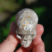 Load image into Gallery viewer, Laguna Lace Agate Carved Crystal Skull 
