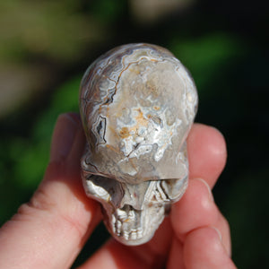 Laguna Lace Agate Carved Crystal Skull 