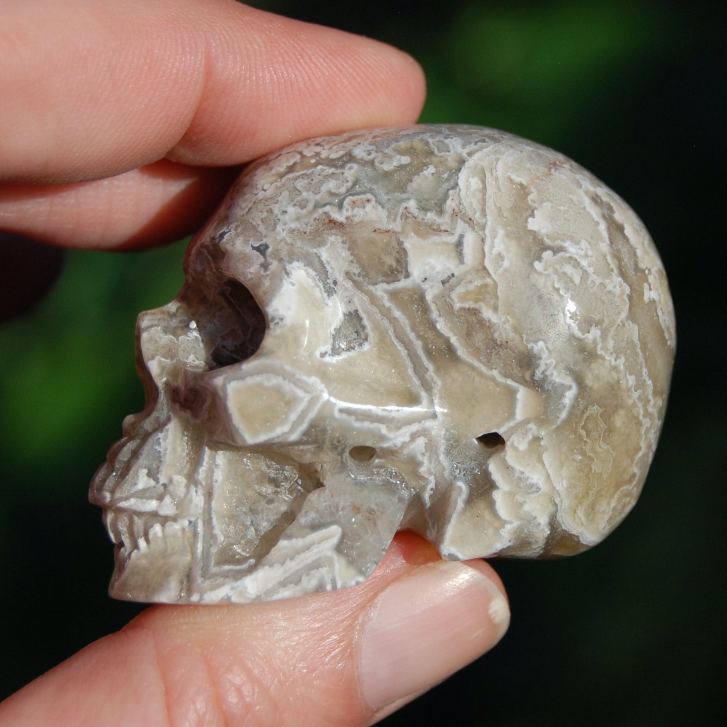 Laguna Lace Agate Carved Crystal Skull