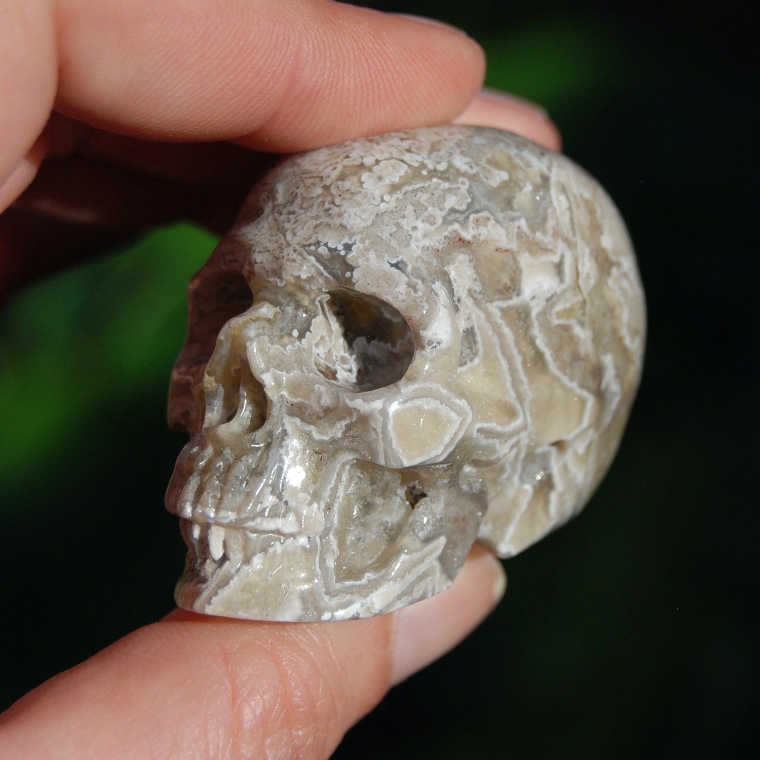 Laguna Lace Agate Carved Crystal Skull