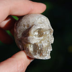 Laguna Lace Agate Carved Crystal Skull