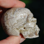 Laguna Lace Agate Carved Crystal Skull