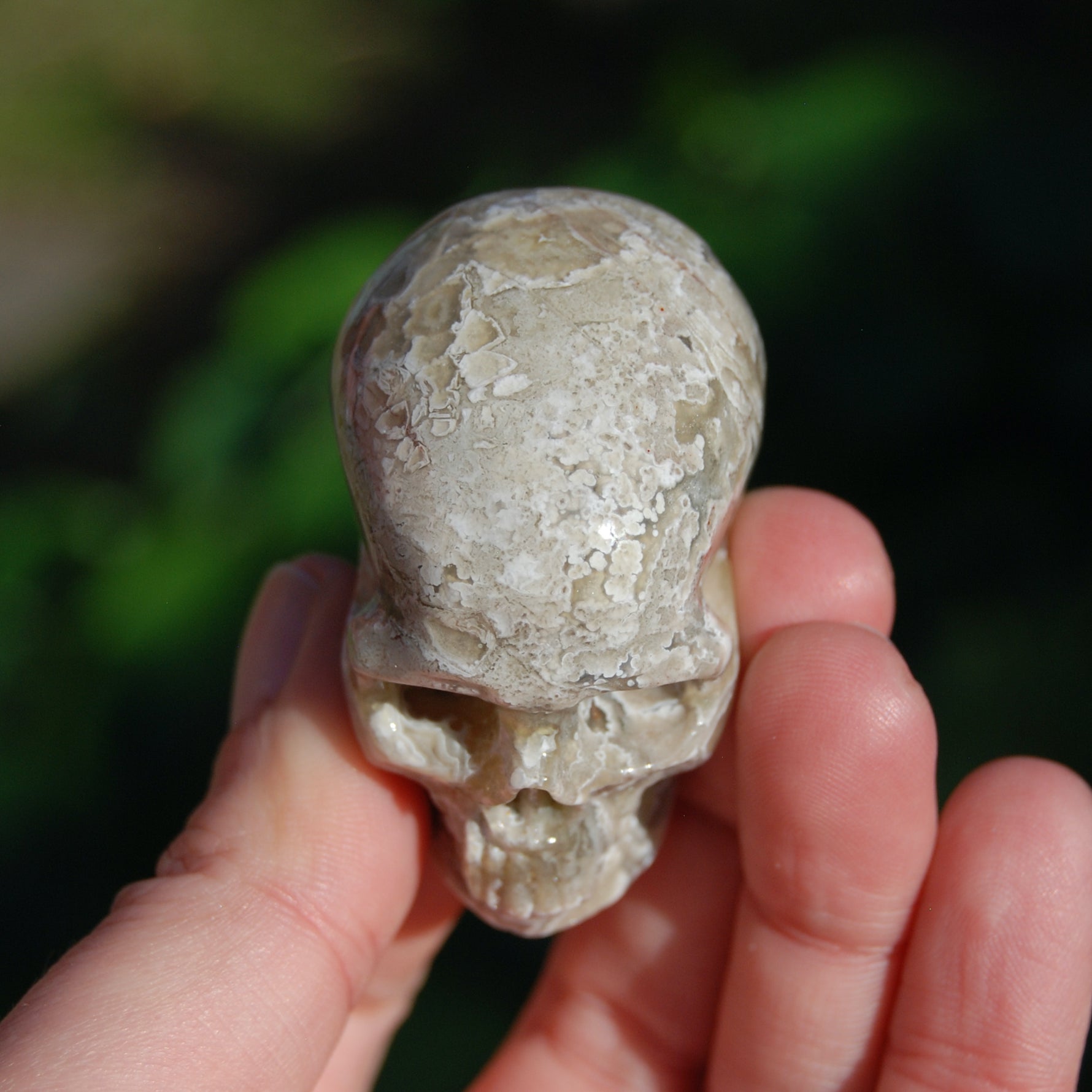 Laguna Lace Agate Carved Crystal Skull