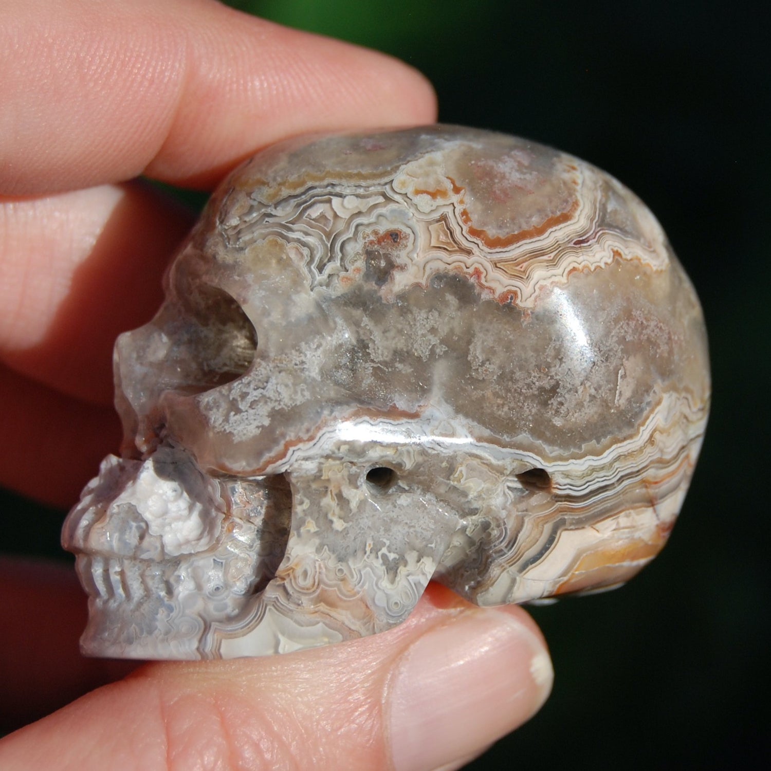 Laguna Lace Agate Carved Crystal Skull