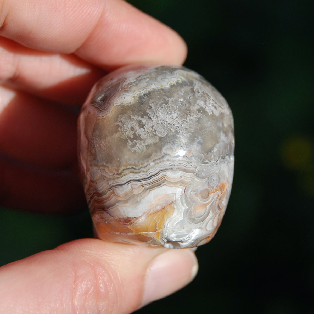 Laguna Lace Agate Carved Crystal Skull