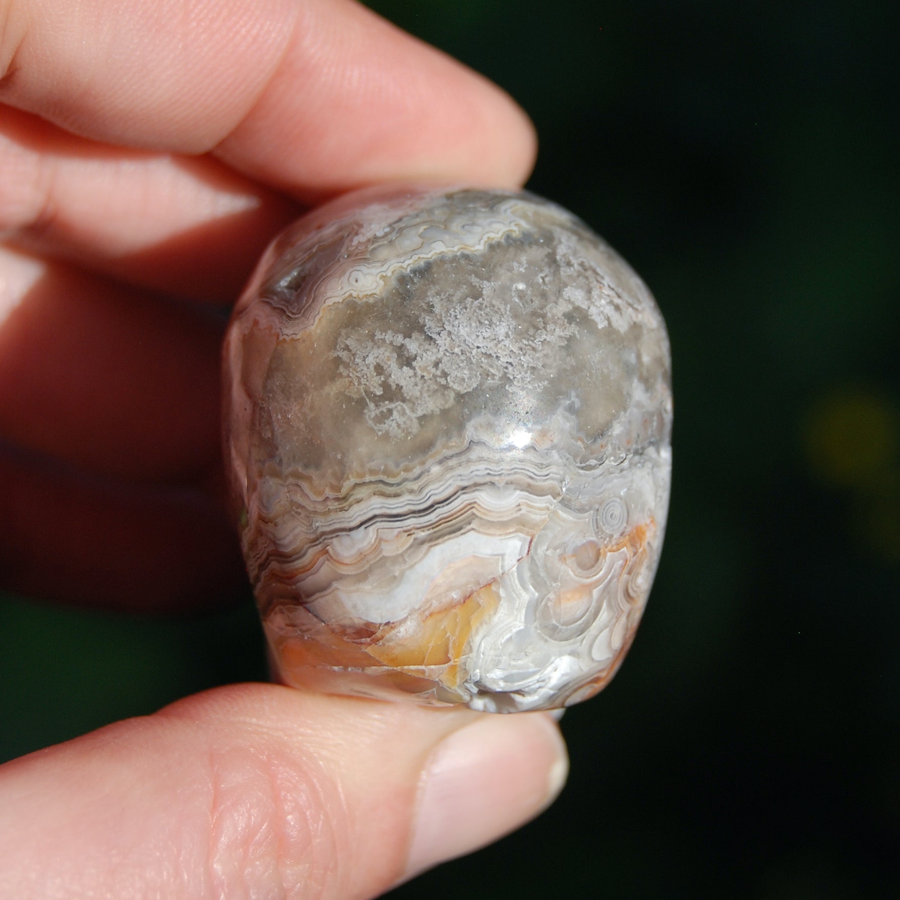 Laguna Lace Agate Carved Crystal Skull