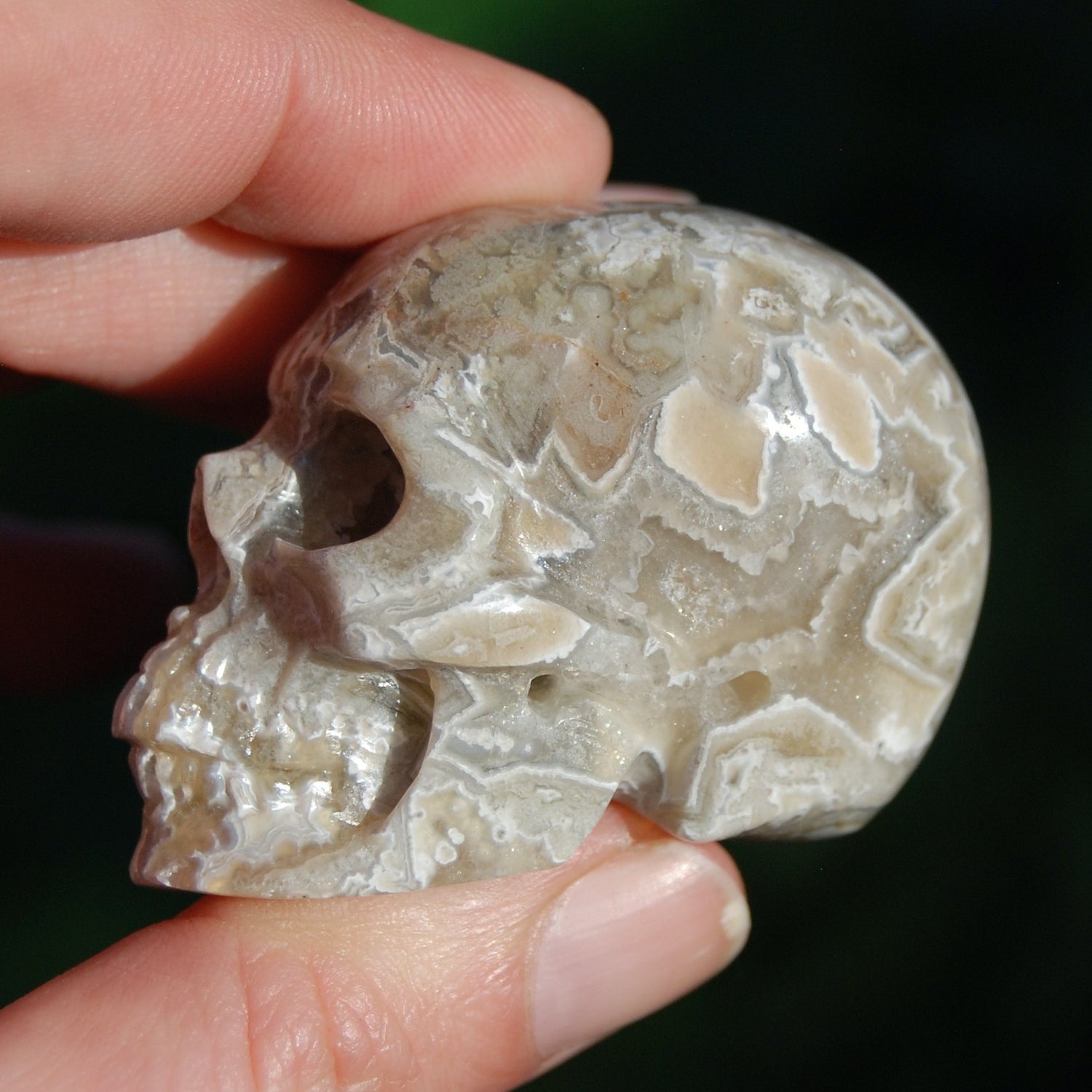 Laguna Lace Agate Carved Crystal Skull