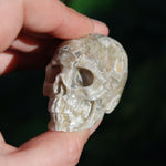 Laguna Lace Agate Carved Crystal Skull