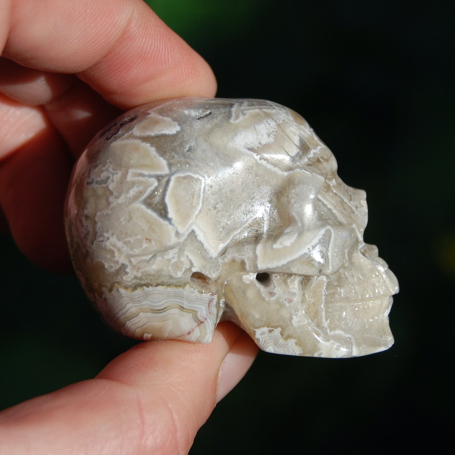 Laguna Lace Agate Carved Crystal Skull