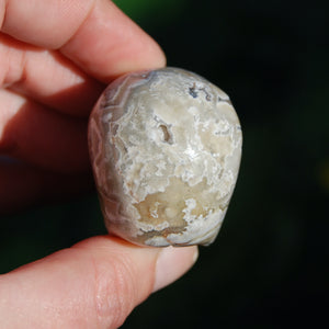 Laguna Lace Agate Carved Crystal Skull