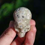 Laguna Lace Agate Carved Crystal Skull