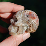 Laguna Lace Agate Carved Crystal Skull