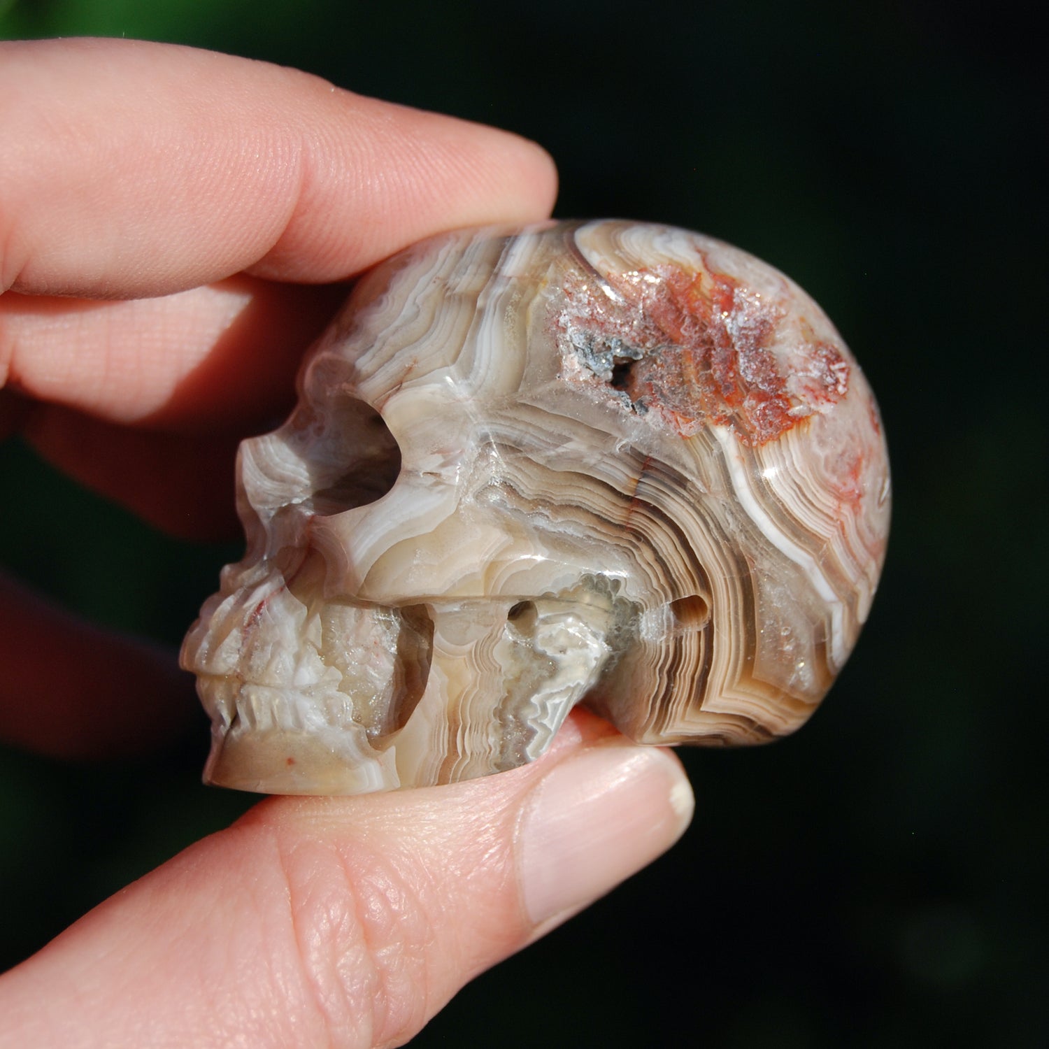 Laguna Lace Agate Carved Crystal Skull
