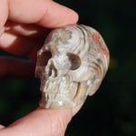 Laguna Lace Agate Carved Crystal Skull