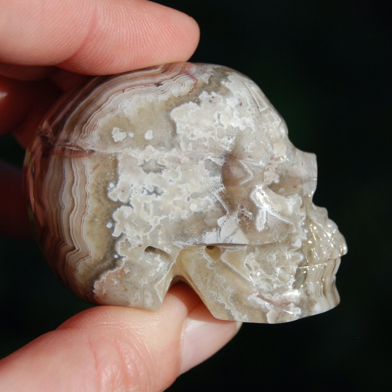 Laguna Lace Agate Carved Crystal Skull