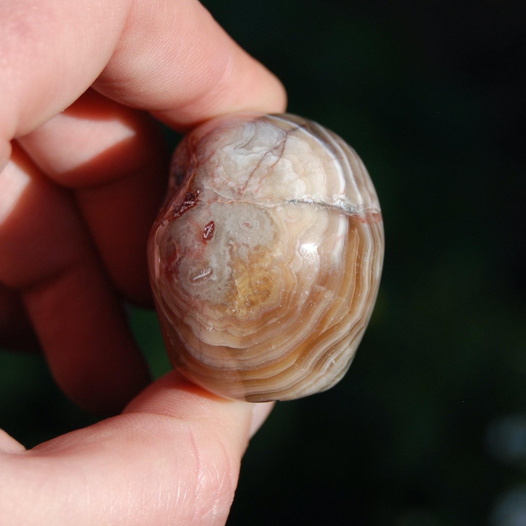 Laguna Lace Agate Carved Crystal Skull