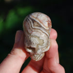 Laguna Lace Agate Carved Crystal Skull