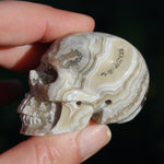 Laguna Lace Agate Carved Crystal Skull