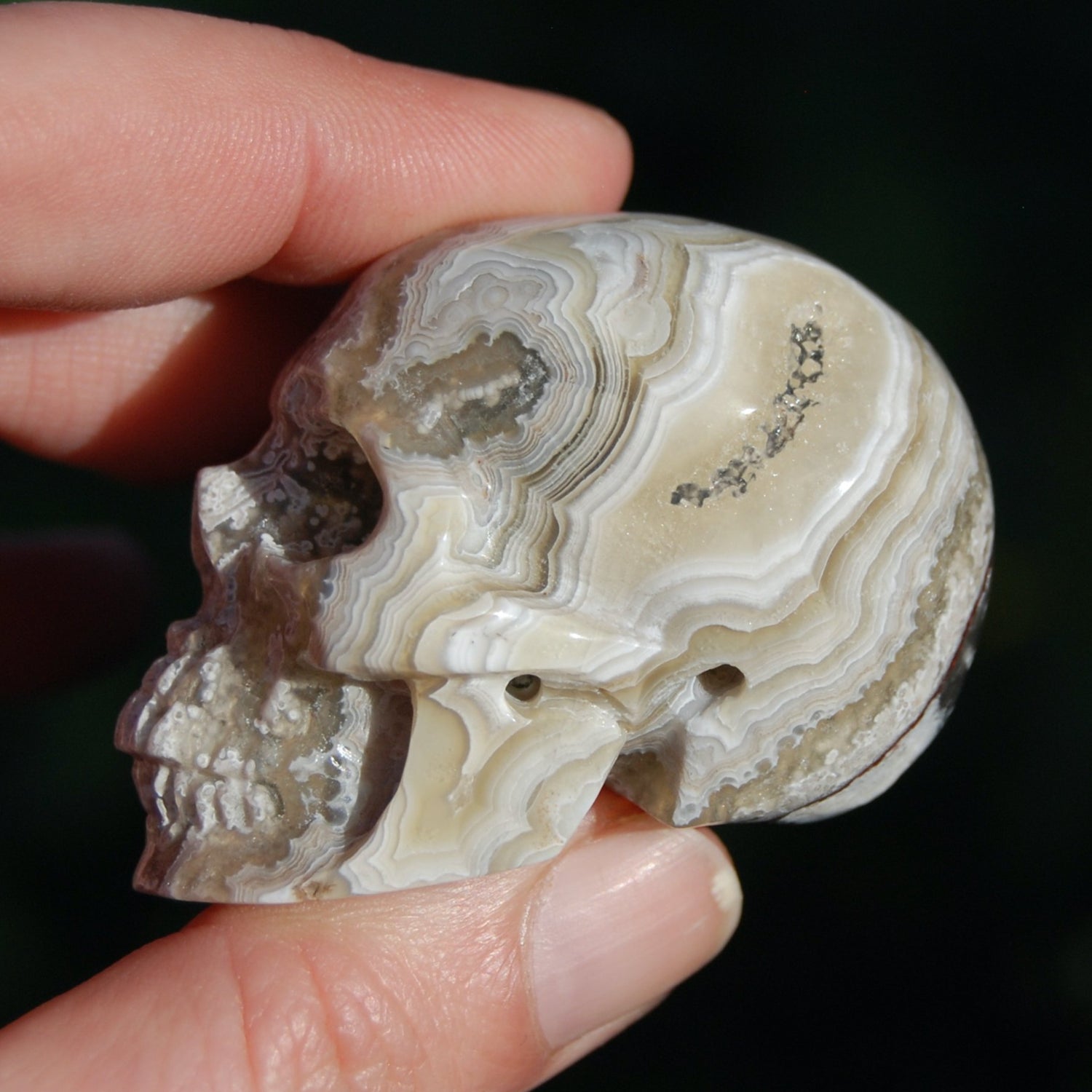 Laguna Lace Agate Carved Crystal Skull
