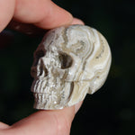 Laguna Lace Agate Carved Crystal Skull