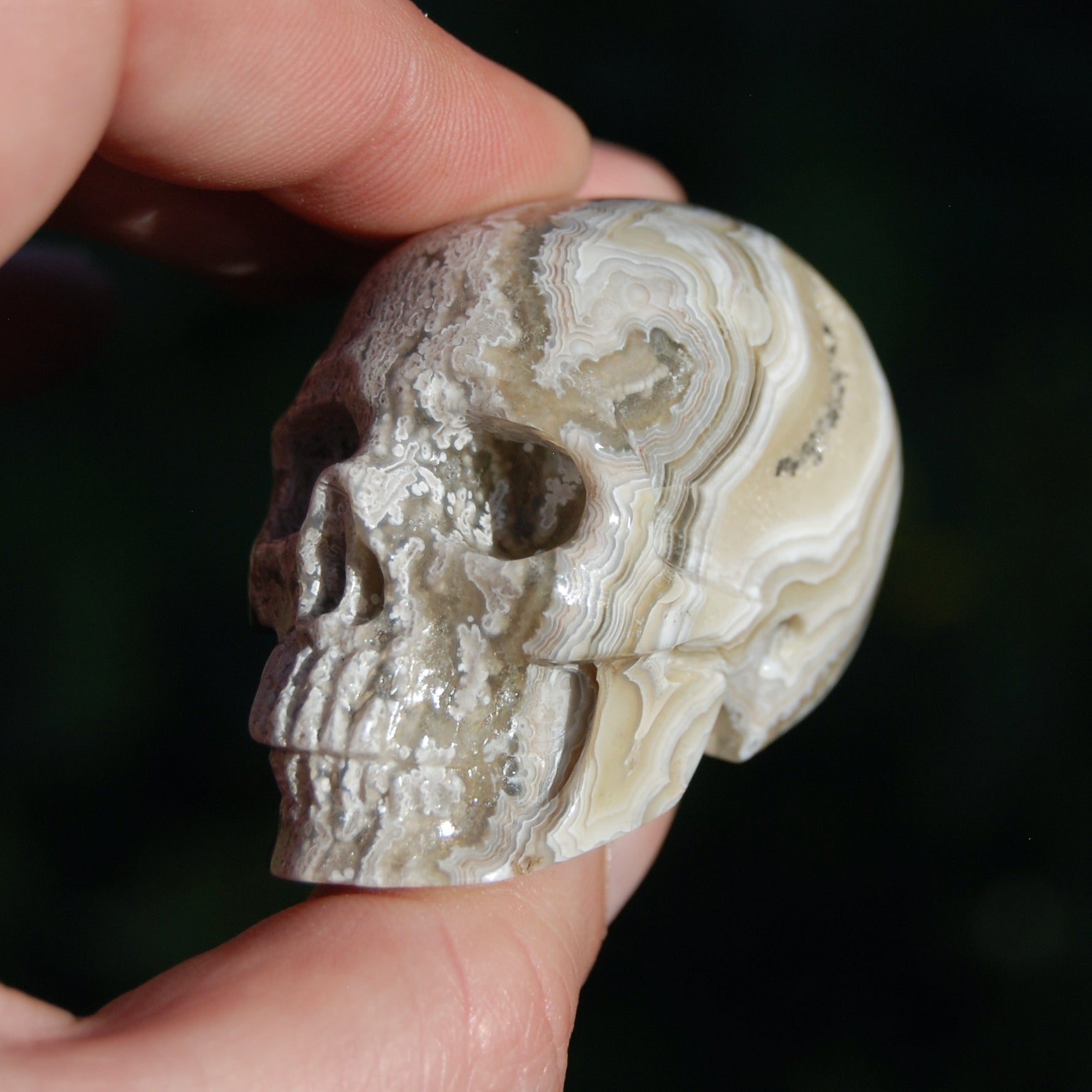 Laguna Lace Agate Carved Crystal Skull