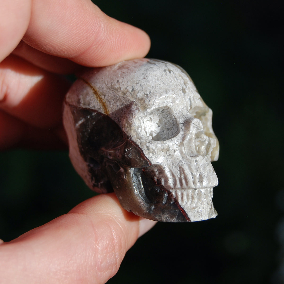 Laguna Lace Agate Carved Crystal Skull