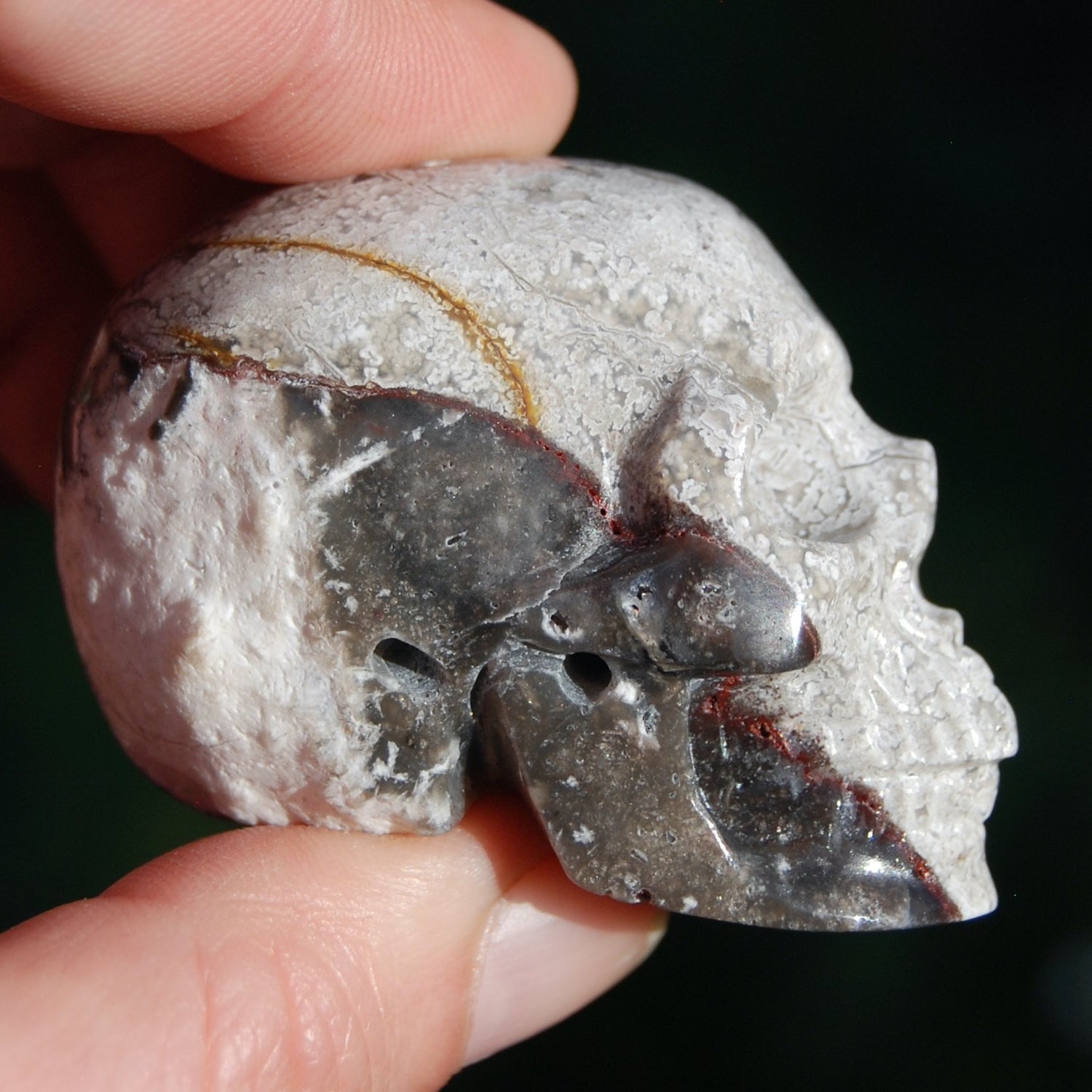 Laguna Lace Agate Carved Crystal Skull