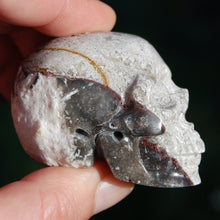 Load image into Gallery viewer, Laguna Lace Agate Carved Crystal Skull
