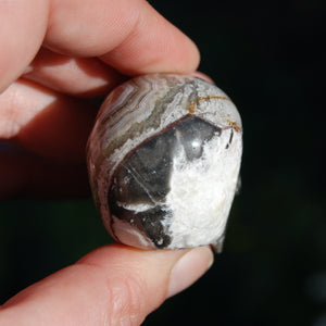 Laguna Lace Agate Carved Crystal Skull