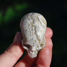 Load image into Gallery viewer, Laguna Lace Agate Carved Crystal Skull
