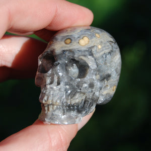 Ocean Jasper Carved Crystal Skull 