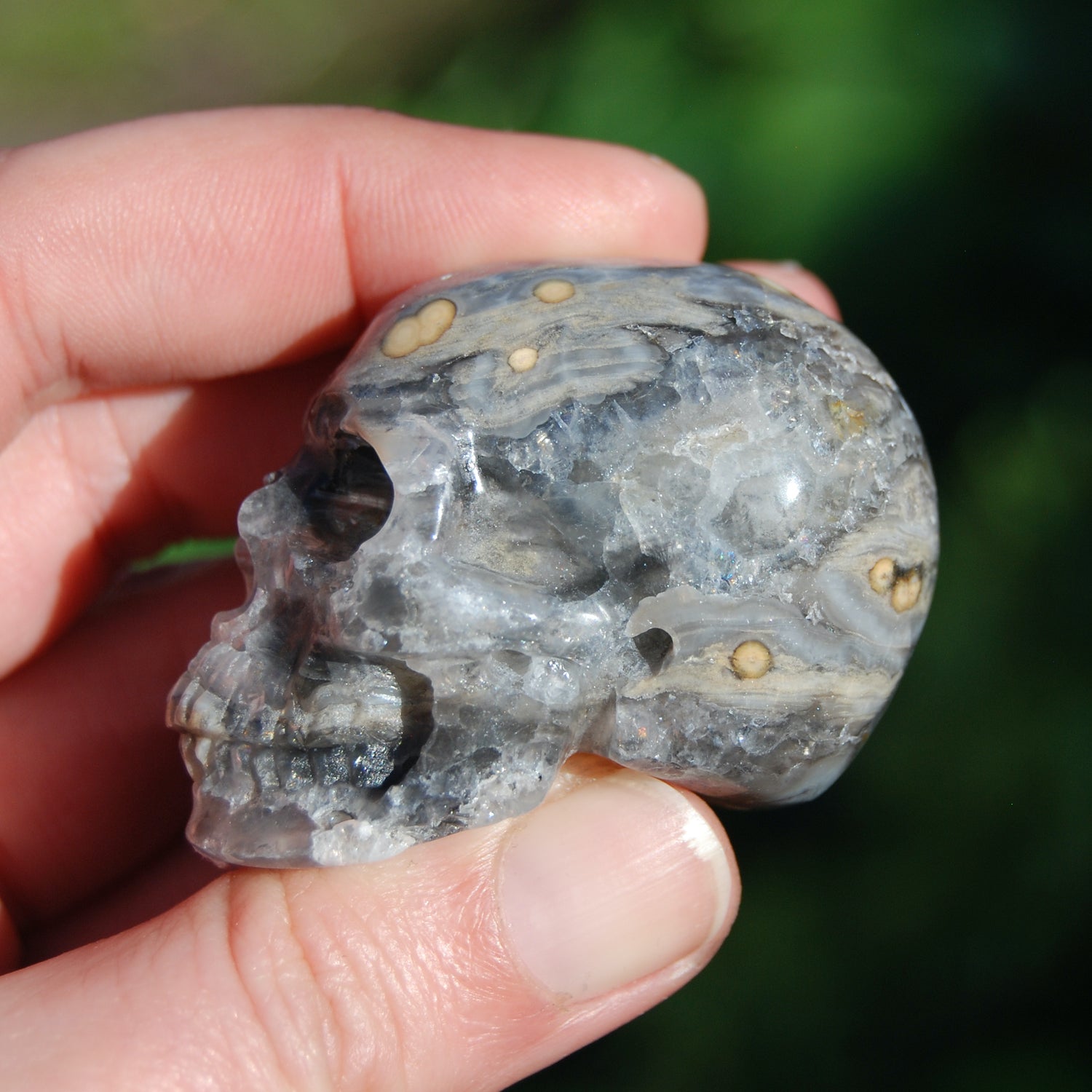 Ocean Jasper Carved Crystal Skull 