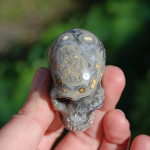 Ocean Jasper Carved Crystal Skull 